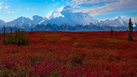 Denali National Park wallpaper | 1920x1080 | #7932