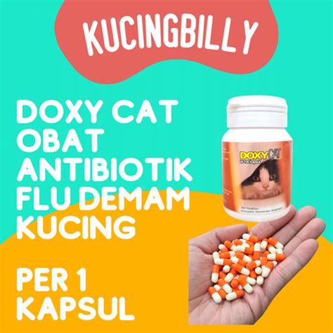 Jual Doxy Cat Obat Antibiotik Flu Demam Batuk Kucing Doxycat Doxy Per