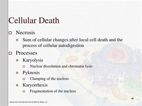 Ppt Altered Cellular And Tissue Biology Powerpoint Presentation Free