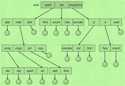 Single Level And Tree Directory Structures Diagram Directory