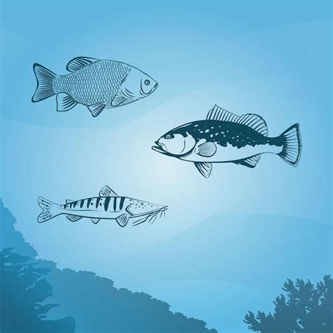 Vectores E Ilustraciones De Peces Agua Salada Para Descargar Gratis