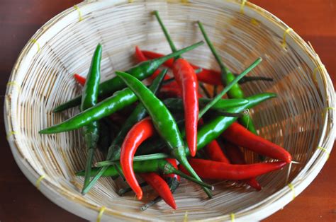 Hot Stuff What Are The Different Thai Chilies Food Republic