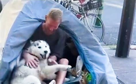 Als Freund wählte Husky einen Obdachlosen der in einem Zelt auf der