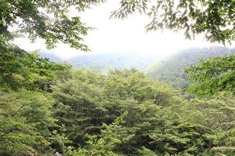 Daisen National Park - Do What You Love