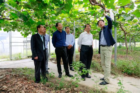 农业农村部科教司二级巡视员张文来豫调研现代农业产业技术体系建设工作 河南省农业科学院