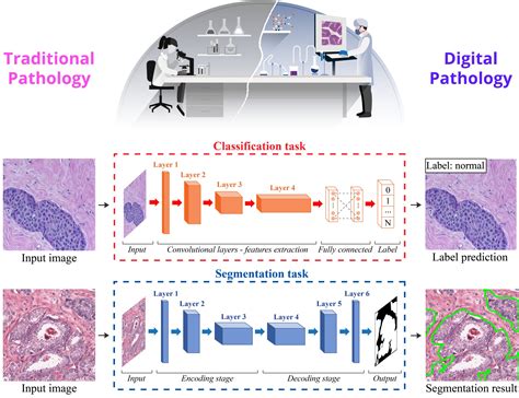 Digital Pathology Image Analysis Biolab Polito