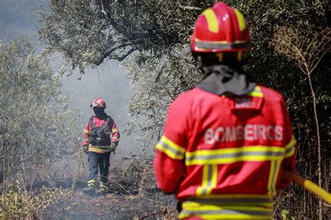 Autarca De Vila Pouca De Aguiar Pede Meios Para Combater Fogos Renascen A