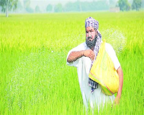 Fertiliser Subsidy Shortcuts Wont Work