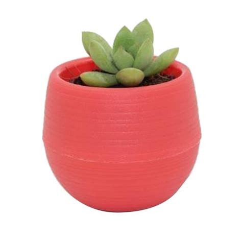 Estink Pot De Semis Pot Succulent Mini Conteneur De Fleurs De Semis Pot