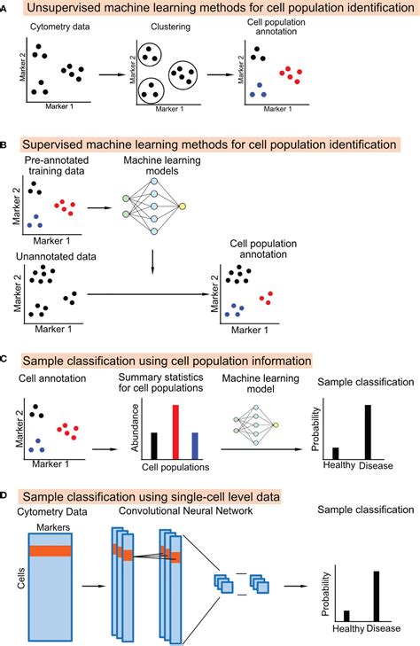 Frontiers Application Of Machine Learning For Cytometry Data