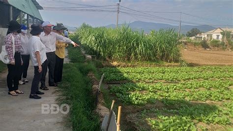 Xây dựng và phát triển mô hình du lịch nông nghiệp cộng đồng Bình Định