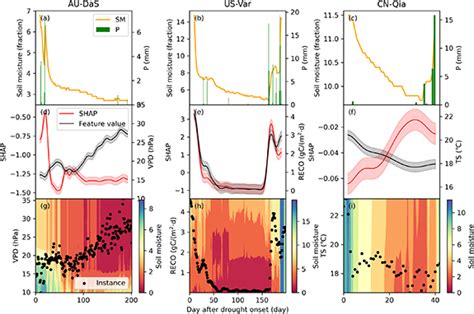 Towards Interpreting Machine Learning Models For Predicting Soil