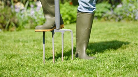 How To Aerate A Lawn With Expert Tips From Monty Don Gardeningetc