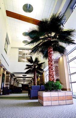 Projects - Waccamaw Community Hospital