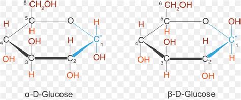 L-Glucose Haworth Projection Stereoisomerism Sugar, PNG, 1420x597px ...