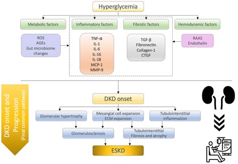 IJMS | Free Full-Text | What’s New in the Molecular Mechanisms of