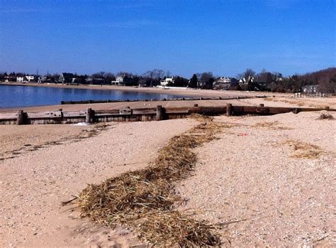 County Issues Bacteria Advisory For Northport Beaches | Northport, NY Patch