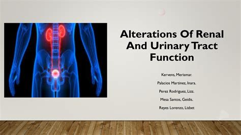 Solution Alteration Of Renal And Urinary Tract Function Studypool