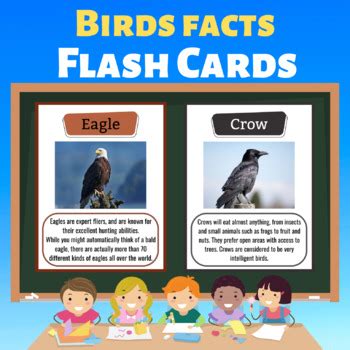 Interesting Facts About Birds