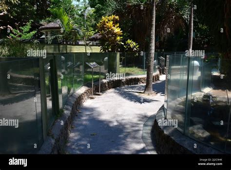 Gembira Loka Zoo, Yogyakarta, Java, Indonesia, Asia Stock Photo - Alamy