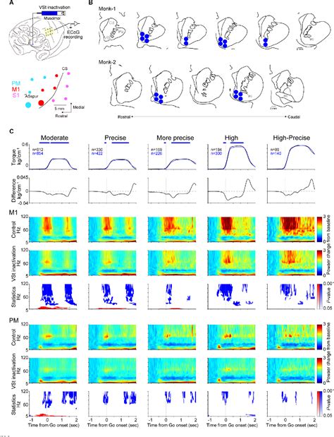 Figure 3 from The ventral striatum contributes to the activity of the ...