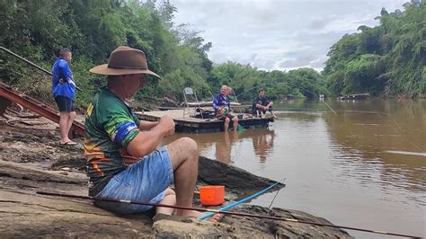 Nunca Vi Pegar Tanto Peixe Assim As Qui No Rio Miranda Pescaria YouTube