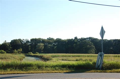 Massachusetts Farm Scenes Crops Growing On A Tributary Of Flickr