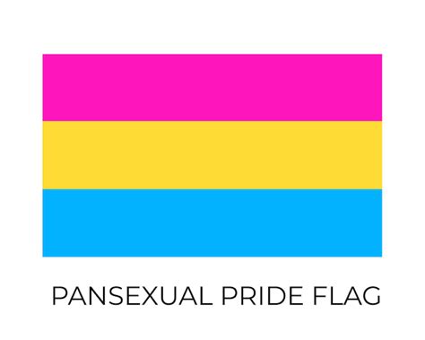 Pansexual Pride Flag Symbol Der Lgbt Community Vektorflagge Sexuelle