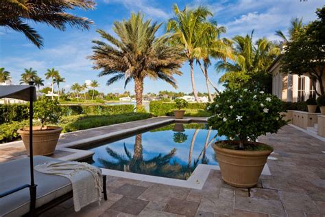 Mastering Palm Tree Care in Florida: Expert Tips for Healthy Palms