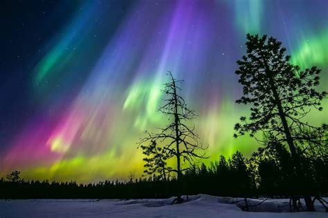 Tour Fotogr Fico De La Aurora Boreal Con Barbacoa En Rovaniemi