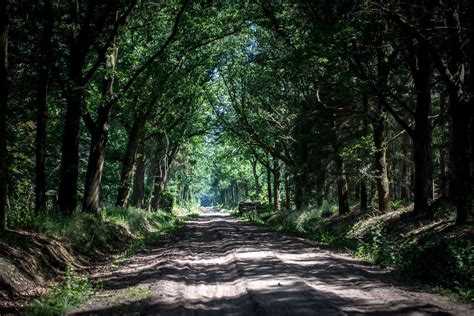 Wandelingen In Noord Brabant De Mooiste Wandelroutes Reisgenie Artofit