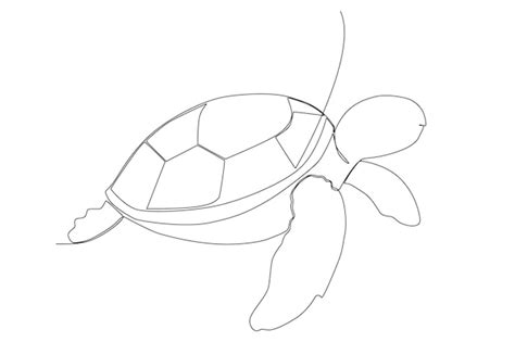 Premium Vector | A cute sea turtle line art