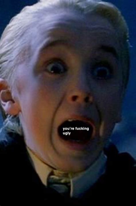 Draco Malfoy Reaction Meme | Draco harry potter, Harry potter jokes ...