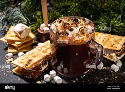 Thick Smores Hot Chocolate Hot Chocolate Latte Drink With Toasted In S Mores Style Marshmallow