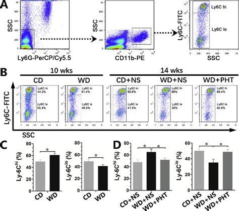 Flow cytometry analysis of mouse circulating monocyte subsets. (A) The ...