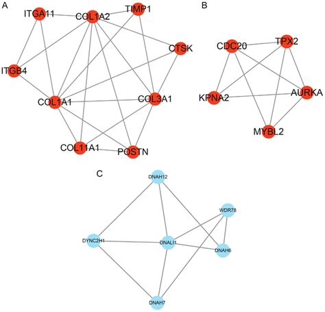 Protein Protein Interaction Network Construction And Analysis A And