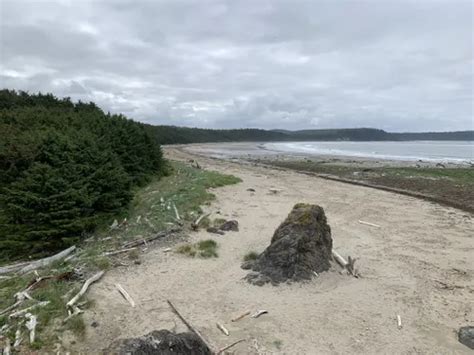 2023 Best Walking Trails In Clallam Bay Alltrails