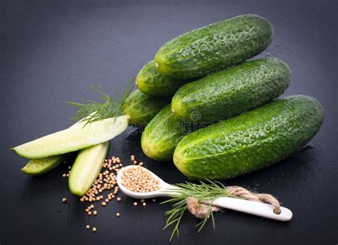 Fresh Gherkin Stock Image Image Of Gherkin Vegetable 30469199