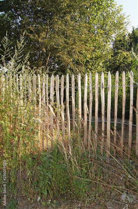 Staketenzaun Im Bauerngarten Taketenzaun Bauerngarten Fence Selfmade