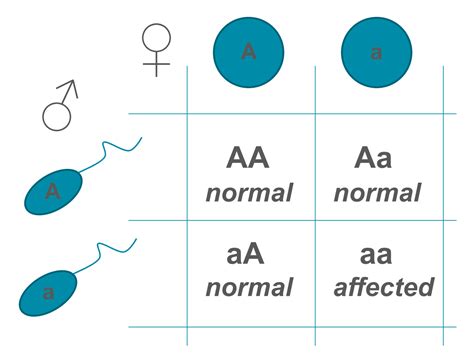 2 Genotype Phenotype And Inheritance Simplemed Learning Medicine Simplified