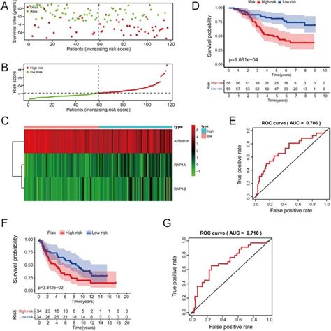 Immunological Role And Prognostic Value Of APBB1IP In Pan Cancer Analysis