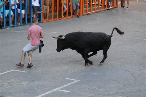 Sucesos Fallece Un Hombre Corneado Por Un Toro En Los Bous Al Carrer