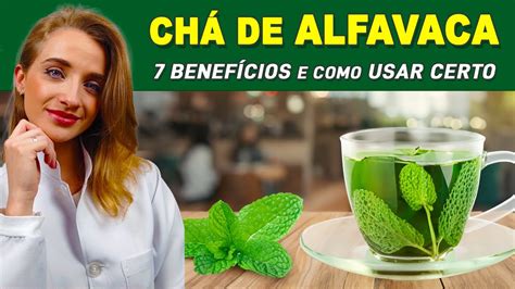 Benef Cios Do Ch De Alfavaca Como Fazer E Tomar Certo Imunidade