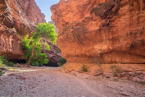Havasupai Guide De Randonnée Pour Havasu Falls
