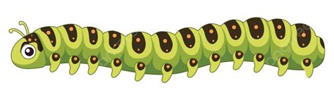 A Caterpillar On White Background Clipart Illustration Caterpillar