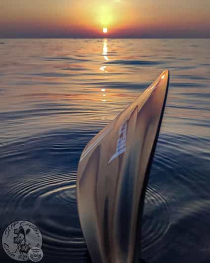 Cala Ratjada Excursión en Stand Up Paddle al Amanecer GetYourGuide