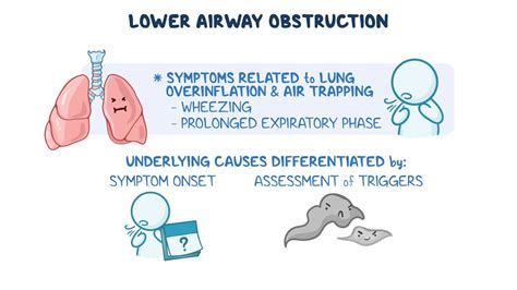 Approach To Lower Airway Obstruction Pediatrics Clinical Sciences