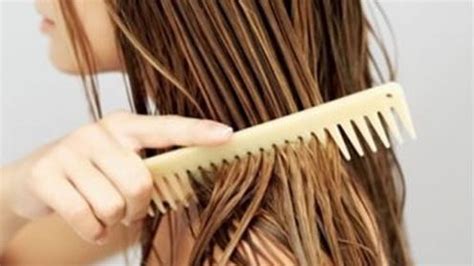 Capelli Grassi I Migliori Rimedi Naturali Ambiente Bio