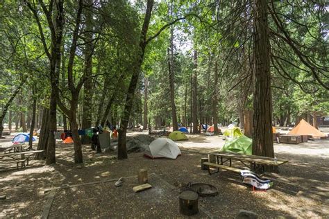 A Bumper Yosemite Camping Guide— The Discoveries Of