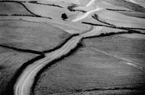 Abbas Kiarostami: Photography is the mother of Cinema - Invisible ...